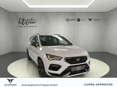 Annonce CUPRA ATECA Essence 2023 d'occasion 