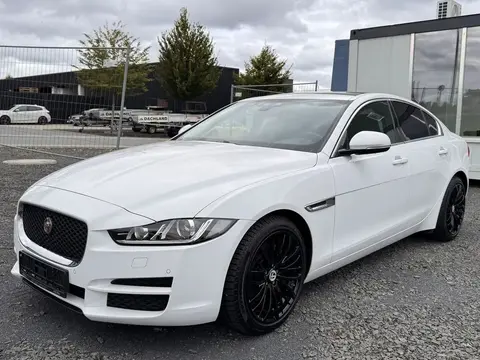 Annonce JAGUAR XE Diesel 2015 d'occasion 