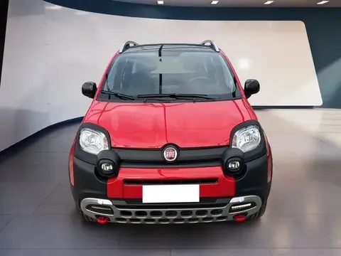 Used FIAT PANDA Petrol 2021 Ad 