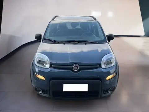 Used FIAT PANDA Hybrid 2021 Ad 