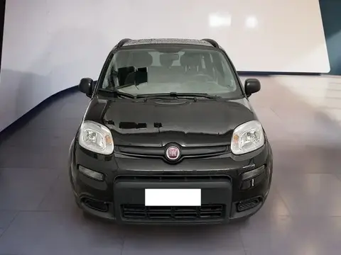 Used FIAT PANDA Hybrid 2021 Ad 