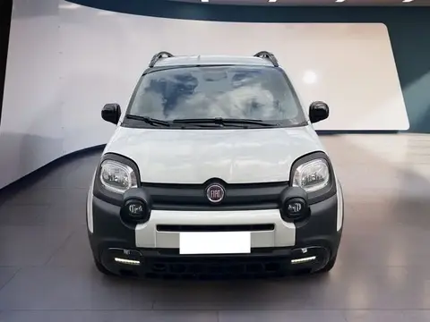 Used FIAT PANDA Hybrid 2021 Ad 