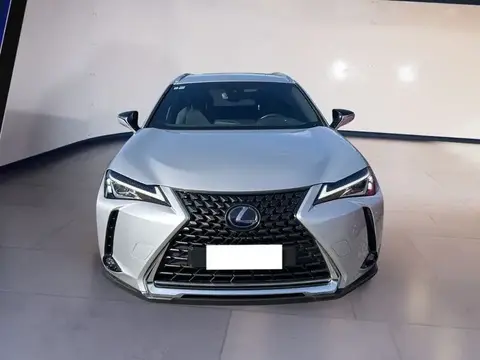 Used LEXUS UX Hybrid 2019 Ad 