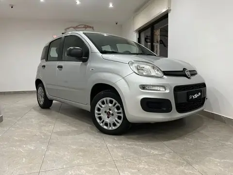 Used FIAT PANDA Petrol 2018 Ad 