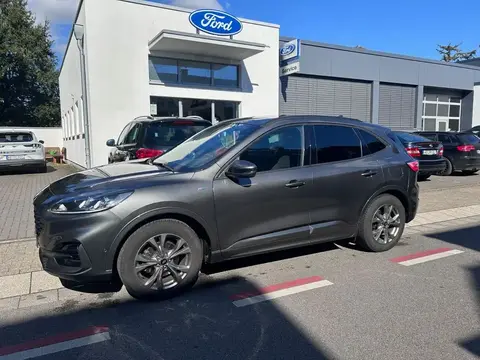 Used FORD KUGA Petrol 2020 Ad 