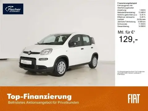 Used FIAT PANDA Petrol 2024 Ad 