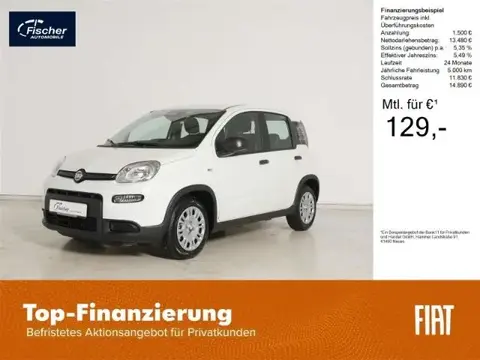 Used FIAT PANDA Petrol 2024 Ad 