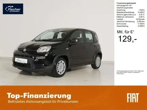 Used FIAT PANDA Petrol 2024 Ad 