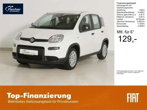 Used FIAT PANDA Petrol 2024 Ad 