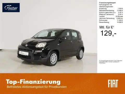 Used FIAT PANDA Petrol 2024 Ad 