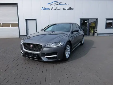 Used JAGUAR XF Diesel 2018 Ad 