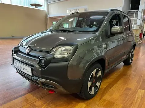 Annonce FIAT PANDA Hybride 2023 d'occasion 