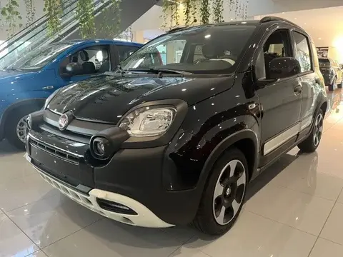 Used FIAT PANDA Hybrid 2024 Ad 