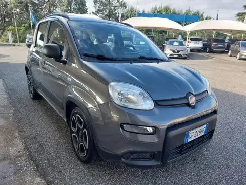 Used FIAT PANDA Hybrid 2021 Ad 