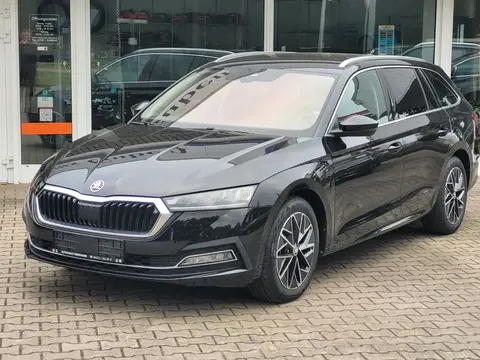 Annonce SKODA OCTAVIA Hybride 2021 d'occasion 