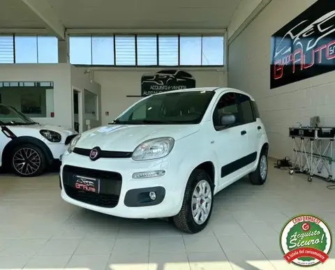 Used FIAT PANDA Petrol 2019 Ad 