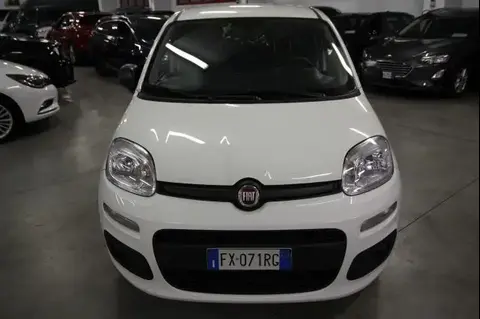 Used FIAT PANDA  2019 Ad 