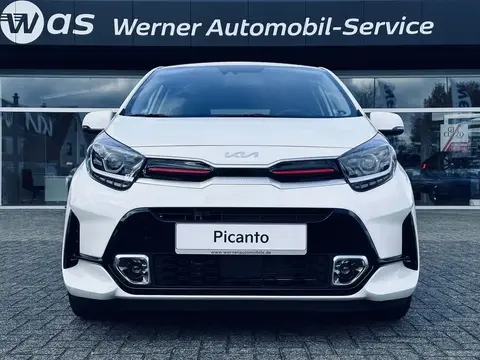 Used KIA PICANTO Petrol 2024 Ad 