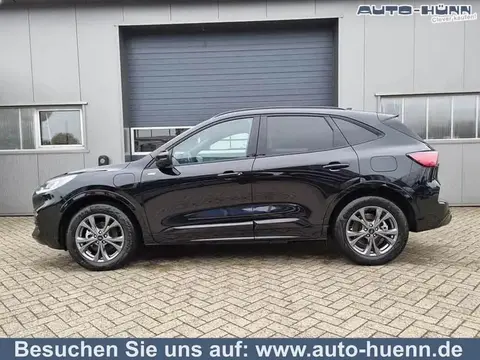 Used FORD KUGA Hybrid 2024 Ad 