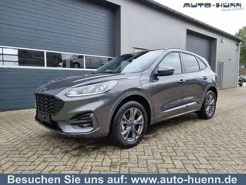 Used FORD KUGA Hybrid 2024 Ad 