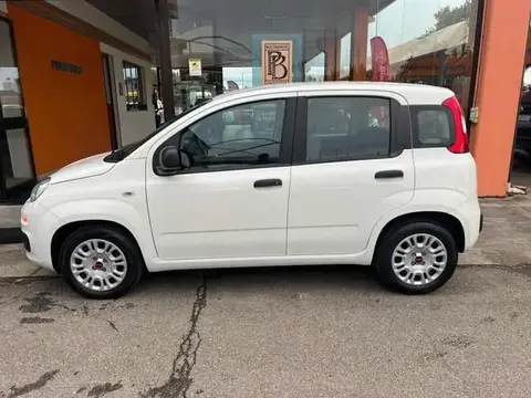 Used FIAT PANDA Petrol 2020 Ad 