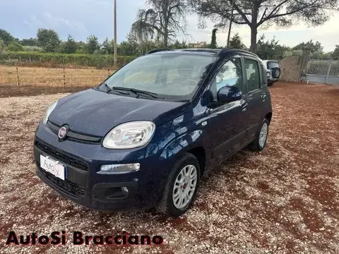 Used FIAT PANDA Petrol 2019 Ad 