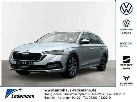 Used SKODA OCTAVIA Diesel 2021 Ad 