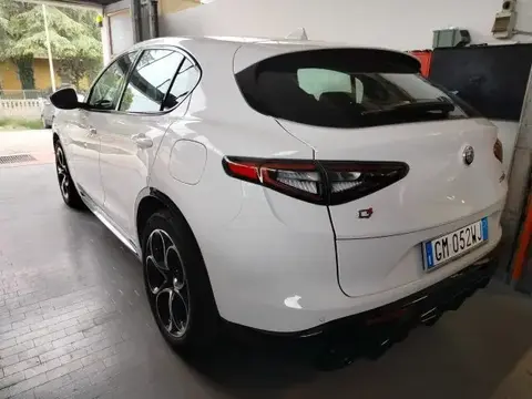 Annonce ALFA ROMEO STELVIO Diesel 2023 d'occasion 