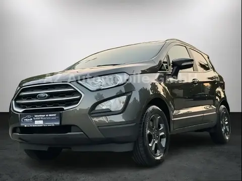 Used FORD ECOSPORT Petrol 2019 Ad 