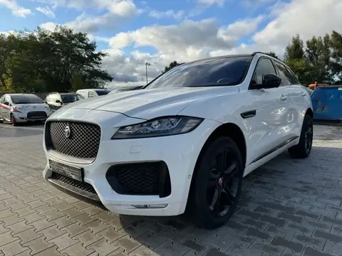 Used JAGUAR F-PACE Diesel 2019 Ad 