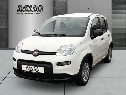 Used FIAT PANDA Petrol 2024 Ad 