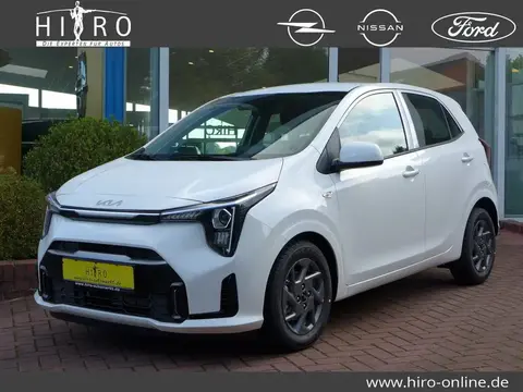 Used KIA PICANTO Petrol 2024 Ad 