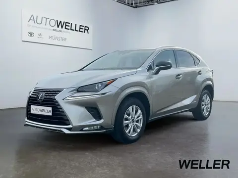 Used LEXUS NX Hybrid 2021 Ad 