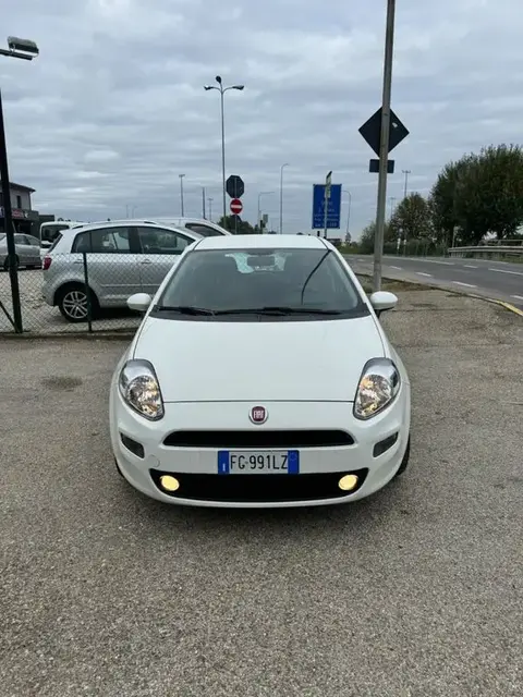 Annonce FIAT PUNTO Diesel 2017 d'occasion 