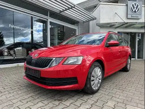 Used SKODA OCTAVIA Diesel 2019 Ad 