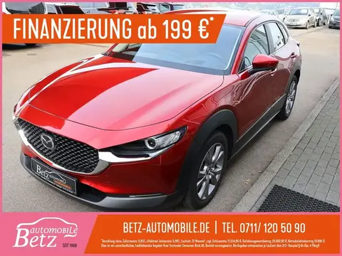 Annonce MAZDA CX-30 Hybride 2020 d'occasion Allemagne