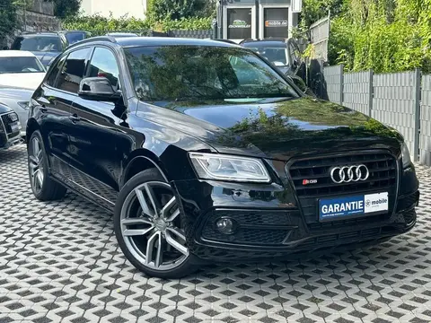 Annonce AUDI SQ5 Diesel 2015 d'occasion 