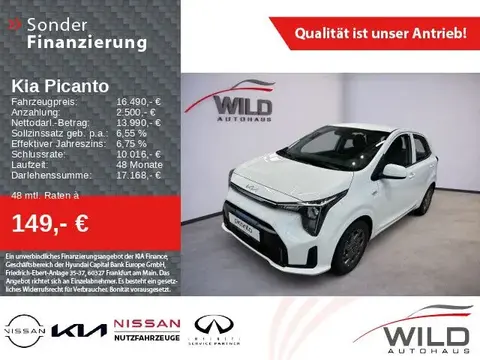 Used KIA PICANTO Petrol 2024 Ad 