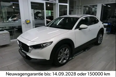 Annonce MAZDA CX-30 Essence 2022 d'occasion Allemagne