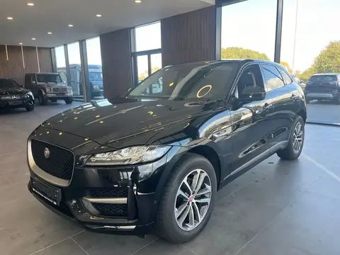 Used JAGUAR F-PACE Diesel 2020 Ad 