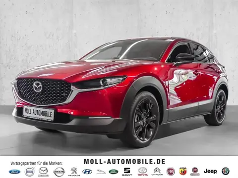 Annonce MAZDA CX-30 Essence 2024 d'occasion Allemagne