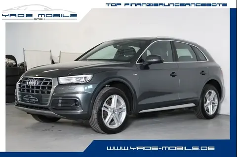 Used AUDI Q5 Diesel 2019 Ad 