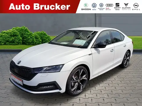 Annonce SKODA OCTAVIA Diesel 2024 d'occasion 