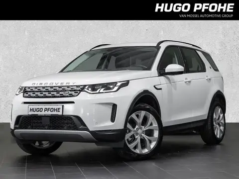 Annonce LAND ROVER DISCOVERY Diesel 2023 d'occasion 