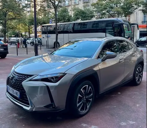 Used LEXUS UX Hybrid 2021 Ad 