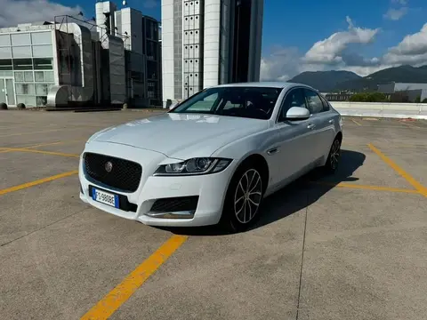 Annonce JAGUAR XF Diesel 2018 d'occasion 