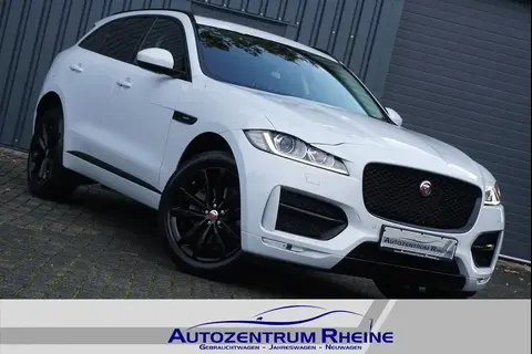 Used JAGUAR F-PACE Diesel 2016 Ad 