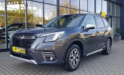 Used SUBARU FORESTER Hybrid 2024 Ad 