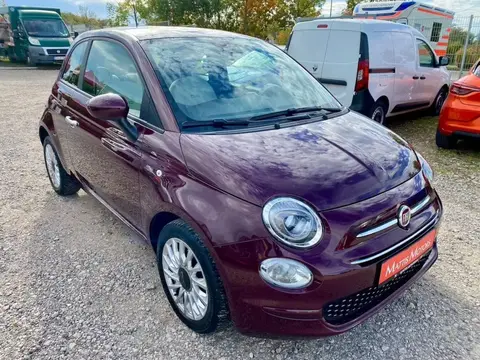 Used FIAT 500 Petrol 2021 Ad 