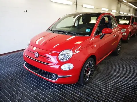 Used FIAT 500 Petrol 2023 Ad 